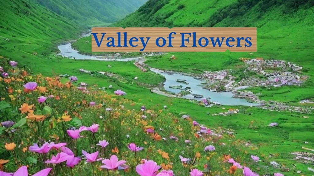 How to Reach Valley of Flowers, Uttrakhand by Road, Train or Plane full details