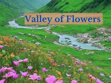 How to reach Valley of Flowers