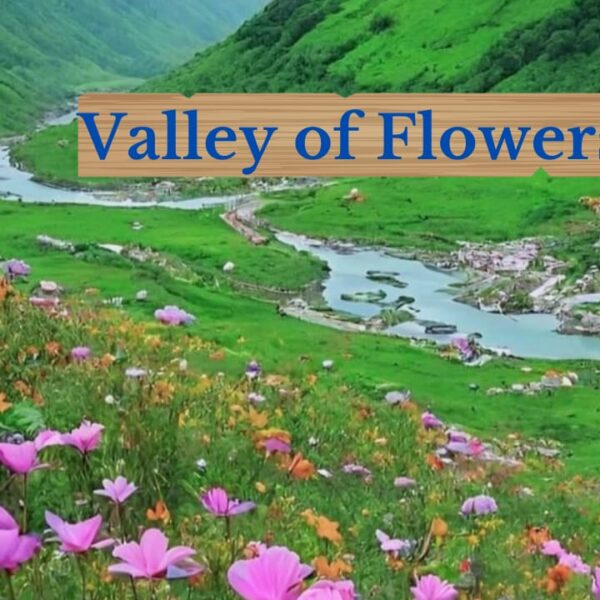 How to reach Valley of Flowers