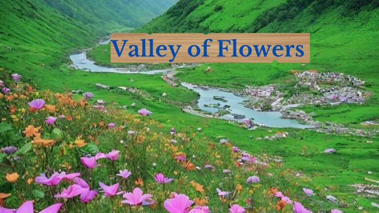 How to reach Valley of Flowers